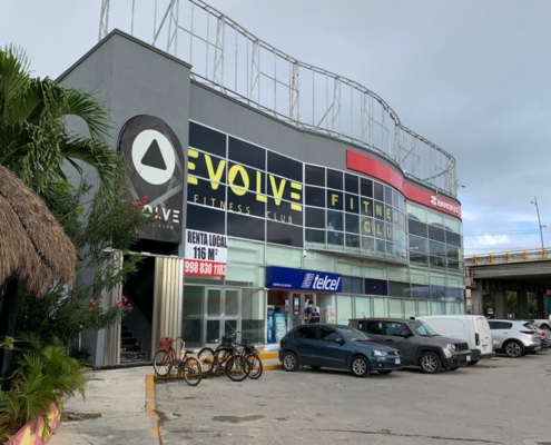 Evolve Gyms