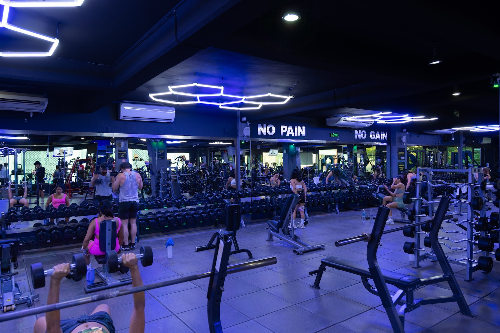 Área de entrenamiento en Evolve Gym 5th Ave Playa del Carmen